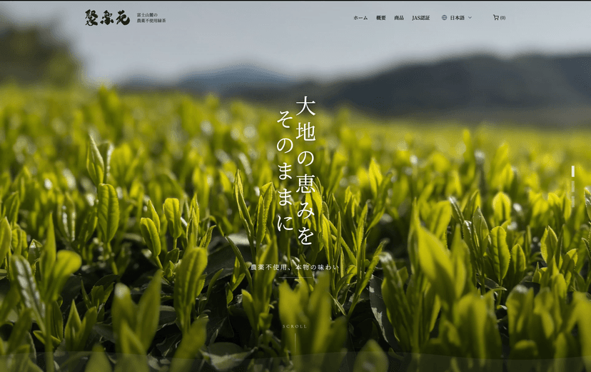 企業サイト制作